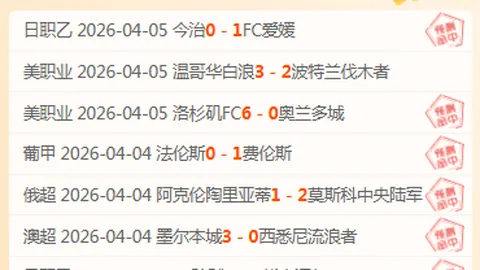 大乐透期号专家推荐：葡超24胜19，强势分析精选前区十码